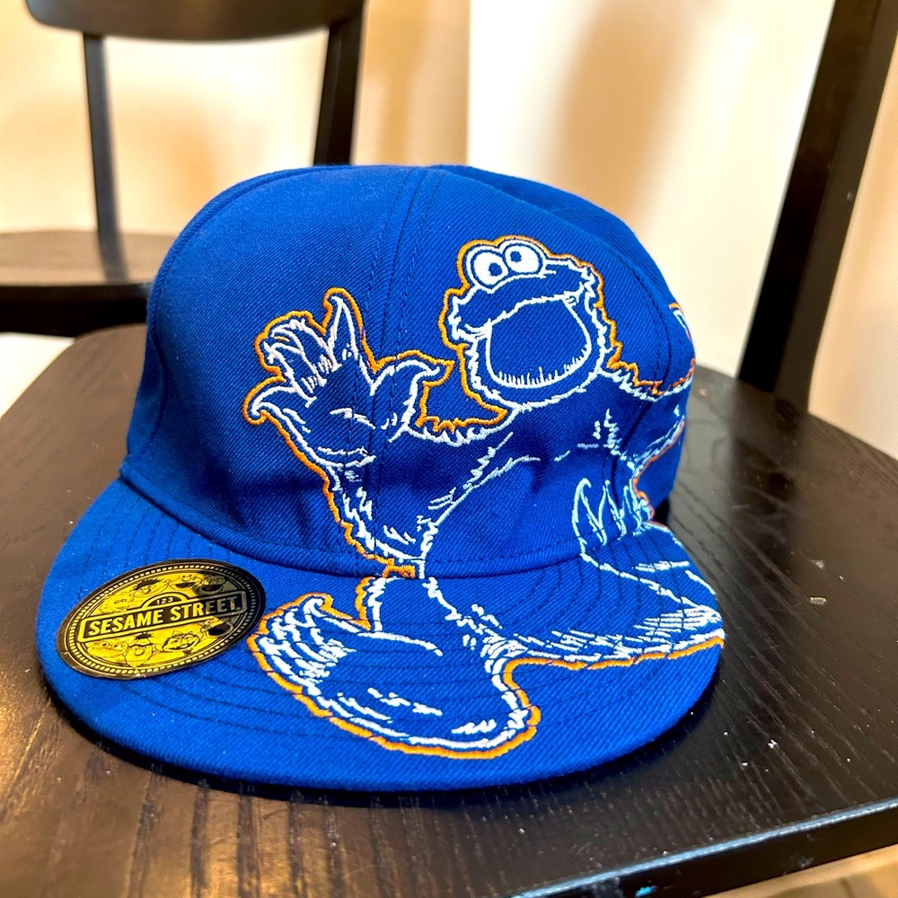 Sesame Street Cookie Monster hat